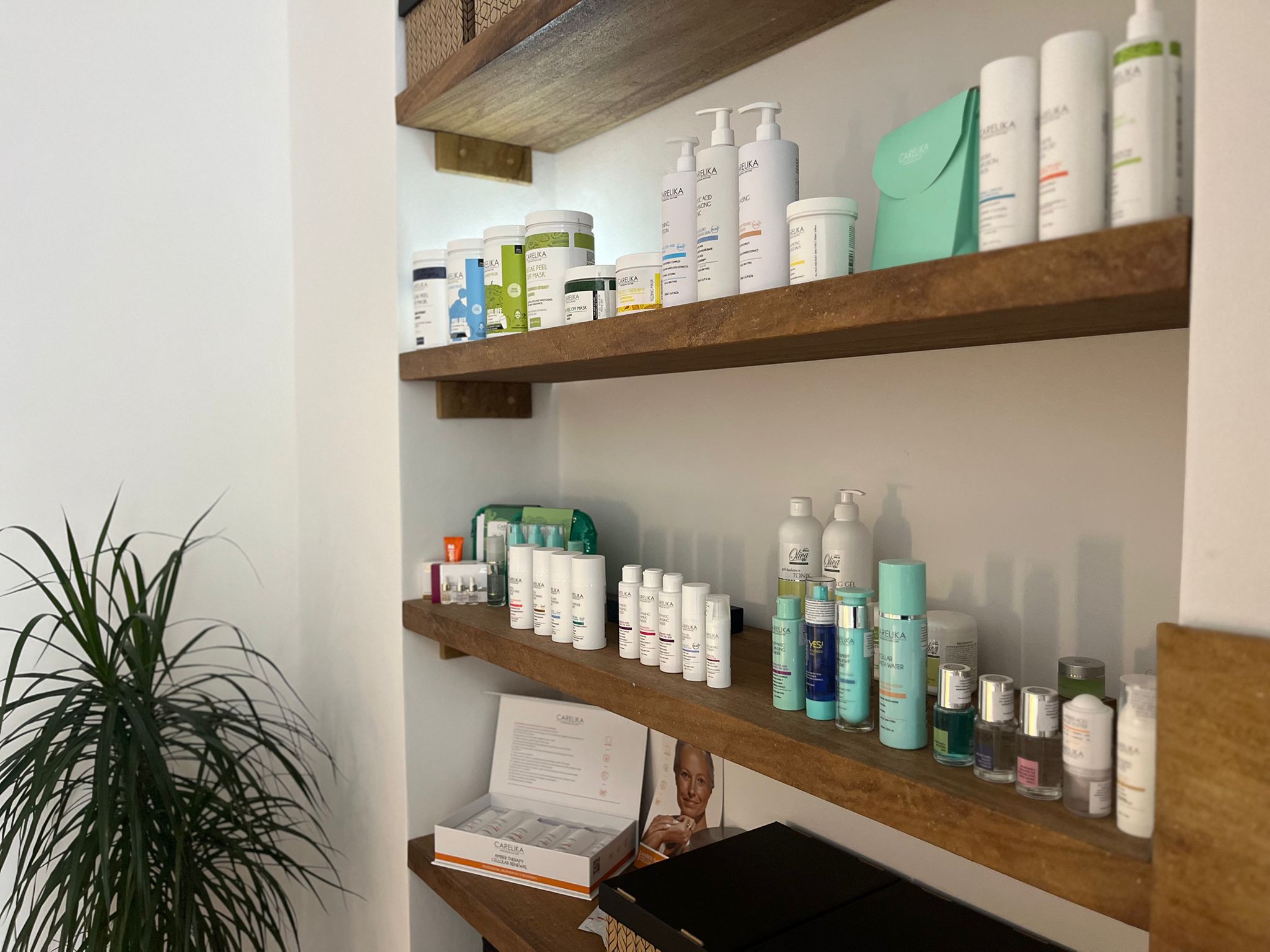 Salon 6